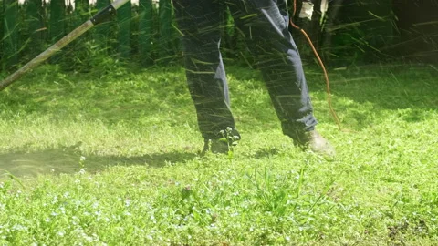 Man mows the grass with hand electric lawn mower in the garden Stock Footage 187972062