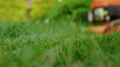 A man mows grass with a lawn mower in his yard Stock Footage 158149133