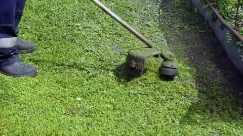 A man mows the grass with a lawn mower. Stock Footage 197785371