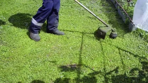 A man mows the grass with a lawn mower. Stock Footage 197785372
