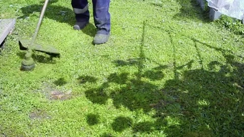 A man mows the grass with a lawn mower. Stock Footage 197785491
