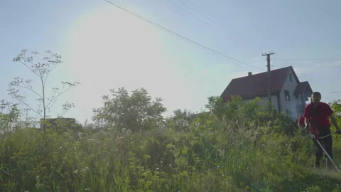 A man mows the grass at sunset Stock Footage 239239499