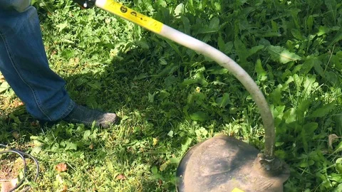 Man mows the grass with a trimmer Stock Footage 78308009