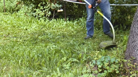 Man mows the grass with a trimmer Stock Footage 78662999