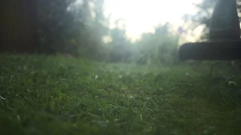 Man mows the grass with a trimmer, lawn mower Stock Footage 100896757