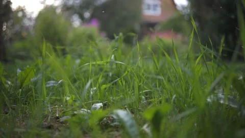 Man mows the grass with a trimmer, lawn mower Stock Footage 100896960