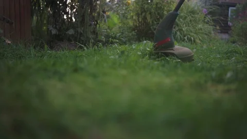 Man mows the grass with a trimmer, lawn mower Stock Footage 100896980