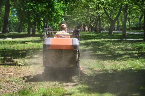 Man mows the grass under trees in park by riding mowing machine in sunny day Stock Photos