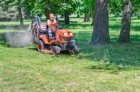 Man mows the grass under trees in park by riding mowing machine in sunny day 写真素材