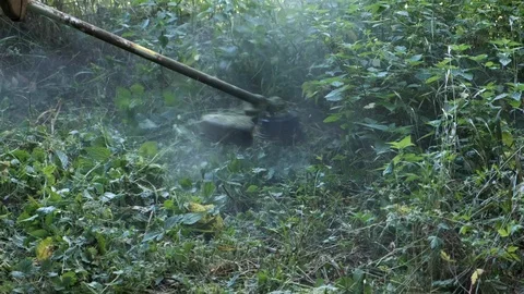 Man mows grass using a portable lawnmower.  Powerful lawn mower mows tall gra Stock Footage 114257092