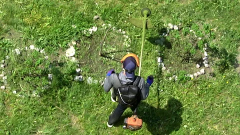 Man Mows Green Grass in Spring with a Lawn Mower in Slow Mo Video stock 194558091