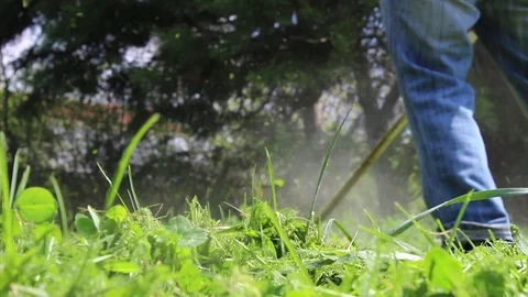 Man  mows green wild grass with brush cutter Video stock 103277576