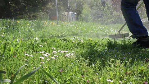 Man  mows green wild grass with brush cutter Stock Footage 103277871