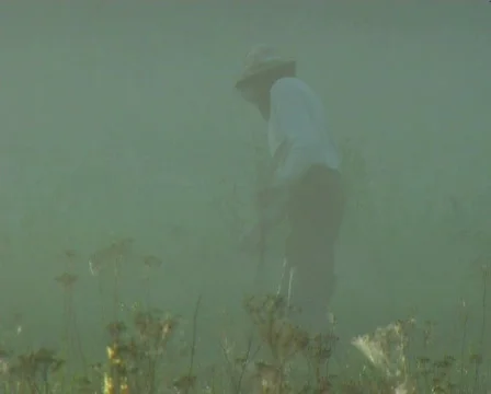  man mows hay Stock-Footage 671433