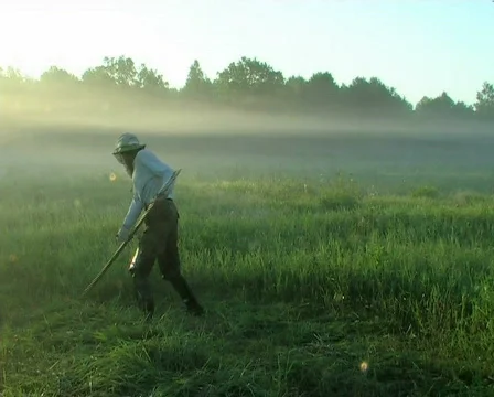  man mows hay Stockbeeldmateriaal 671436