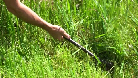 Man mows with his hands with hand-braided tall green grass on farm, close-up 스톡 동영상 194493841
