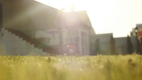 Man Mows the Lawn in His Yard Stock Footage 72967958