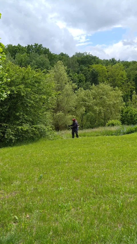 A man mows the lush green grass on the lawn. Stock Footage 310631929