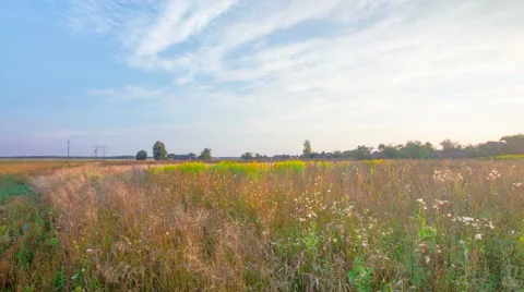A man mows the tall grass in the evening. Time lapse Stock Footage 54318559