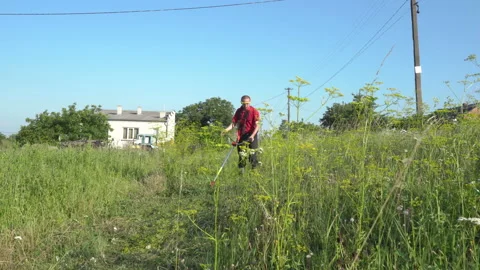 A man mows tall grass Video stock 237697297