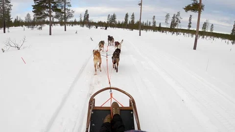 Man mushing a husky sled through the open outdoors in the wilderness Stockbeeldmateriaal 149396171