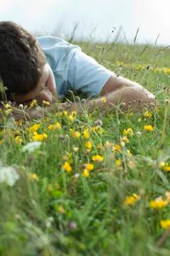 Man napping on meadow Stock Photos