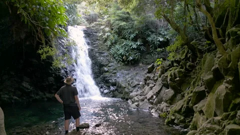 Man at a natural waterfall in the rainforest Video stock 225501782