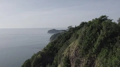 Man of Nature Video stock 259252798