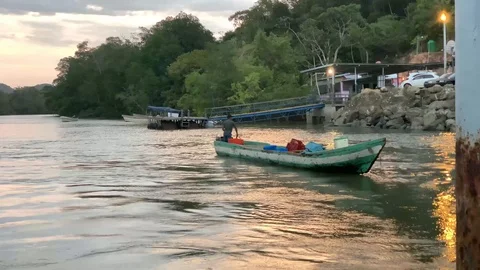 Man navigating a small long boat on the river Stock Footage 111298866