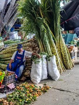 A man next to a sugar cane Stock Photos