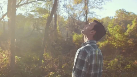 Man Observes Forest During a Bright Morning Sunrise Stock Footage 81491887