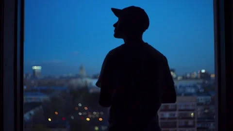 Man observing cityscape at twilight Stock Footage 290958459