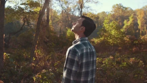 Man Observing Forest During Beautiful Morning (Slide Right) Stock Footage 81491982