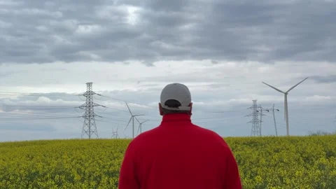 Man Observing Wind Farm and Power Grid in Blooming Rapeseed Field Stock Footage 335809610