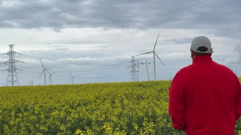 Man Observing Wind Farm and Power Grid in Blooming Rapeseed Field Stock Footage 335809628
