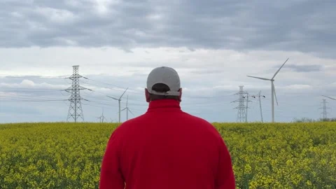 Man Observing Wind Farm and Power Grid in Blooming Rapeseed Field Stock Footage 335809636