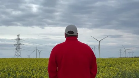 Man Observing Wind Farm and Power Grid in Blooming Rapeseed Field Stock Footage 335809775
