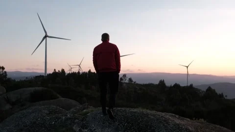 Man observing a wind turbine farm at sunset Stock Footage 344531170
