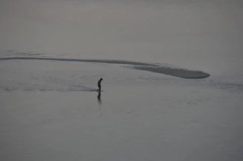 Man in the Ocean Stock Photos
