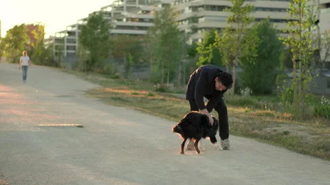 Man in Office Outfit Calling Border Collie Dog and Hugging It in Park Stock Footage 333310704