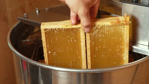 A man (only his hands are visible) loads honeycomb frames into Stock Footage 276344445