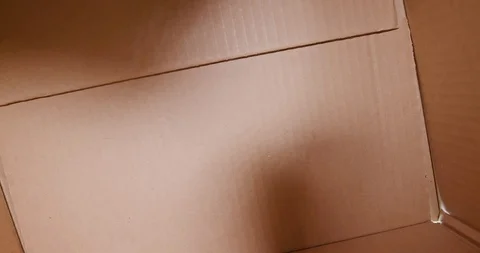 Man open the box Stock Footage 90023495