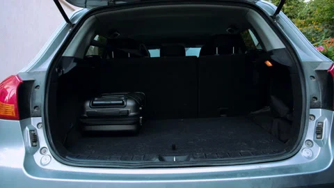 The man open the trunk of car, puts bags there and dog jump in. 動画素材 196145284