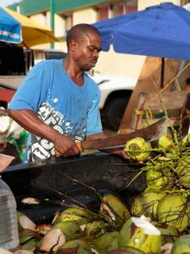 Man opening Coconuts Stock Photos