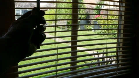 Man opening a window blind with a view onto a garden / yard. Vídeos de archivo 114657085