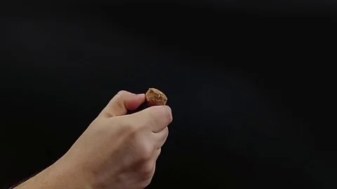 Man opens a bottle of champagne, super slow motion 240 fps hd video Stock Footage 73848684