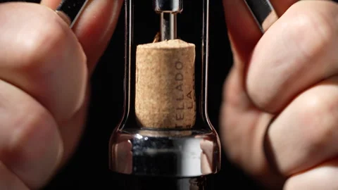Man opens a bottle of red wine. Opening a glass wine bottle with corkscrew Stock Footage 318874469