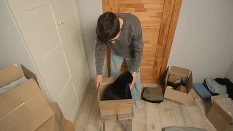 A man opens a cardboard box, and a black cat suddenly jumps out, surrounded by Stock Footage 303405234