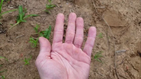The man opens his hand. Palm and fingers. Stock Footage 108543861