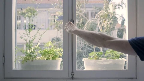 Man opens a window. beautiful plants behind dusty glass. 스톡 동영상 128436680